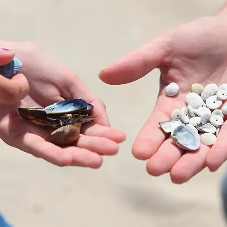 Roompot Cape Helius Hellevoetsluis