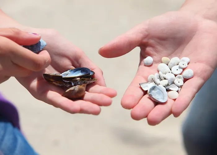 Cape Helius Beach Hellevoetsluis